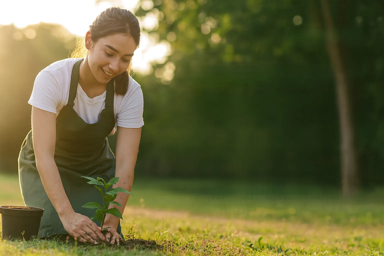 SWEM sustainability initiative