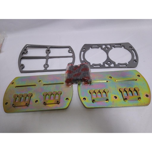 [20102745] KIT VALVE SS10