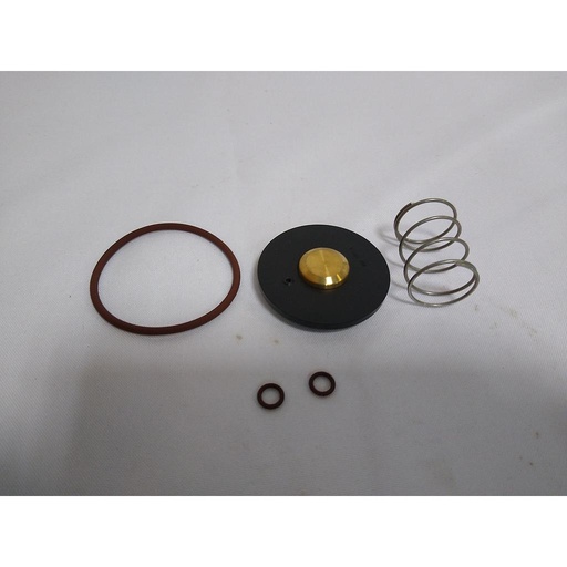 [22500144] KIT BLOWDOWN SOLENOID
